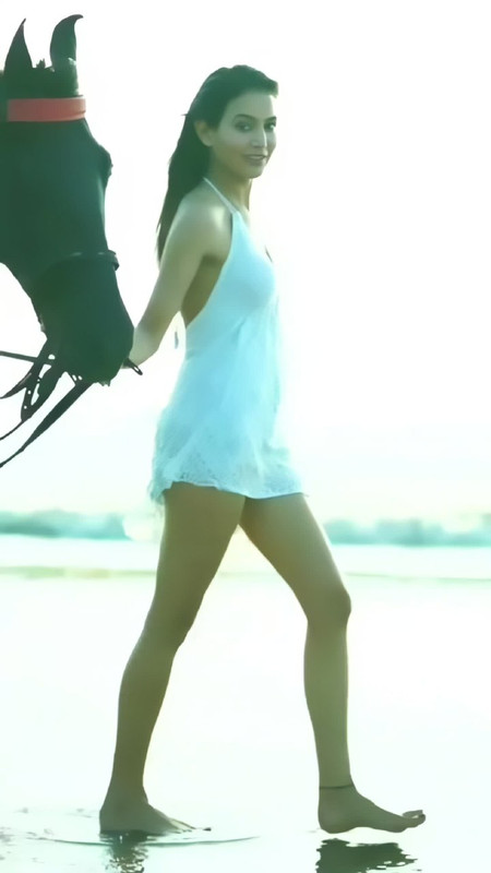 IMG_20241105_233238_634