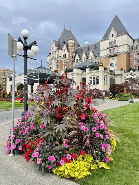 [Linked Image from i.postimg.cc]