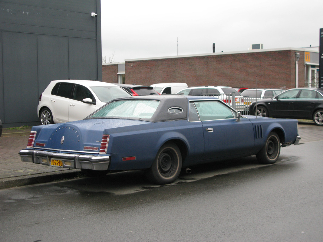 IMG-6736.jpg