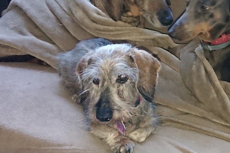 [Image: DSC-3501.jpg]