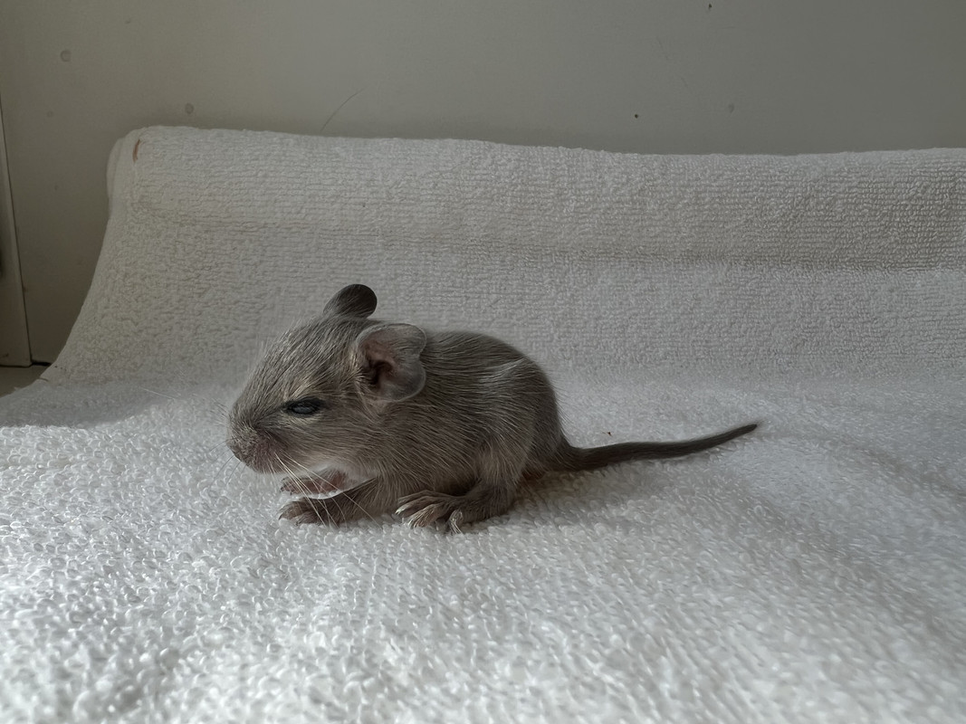 96F1E9CB-E575-47E0-87EA-BE82720C0598