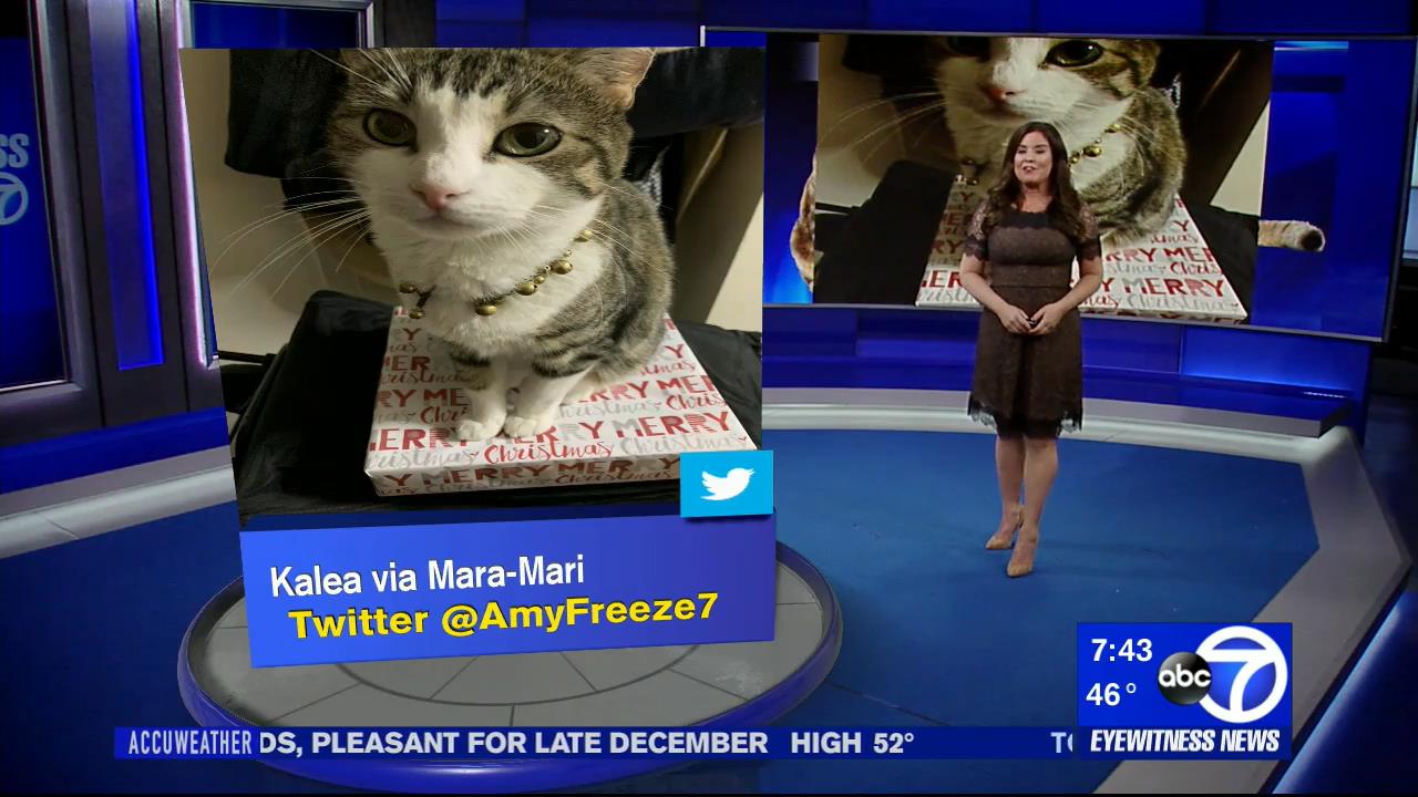 28 December - 11.00.00 - Eyewitness News This Morning. News.ts_s