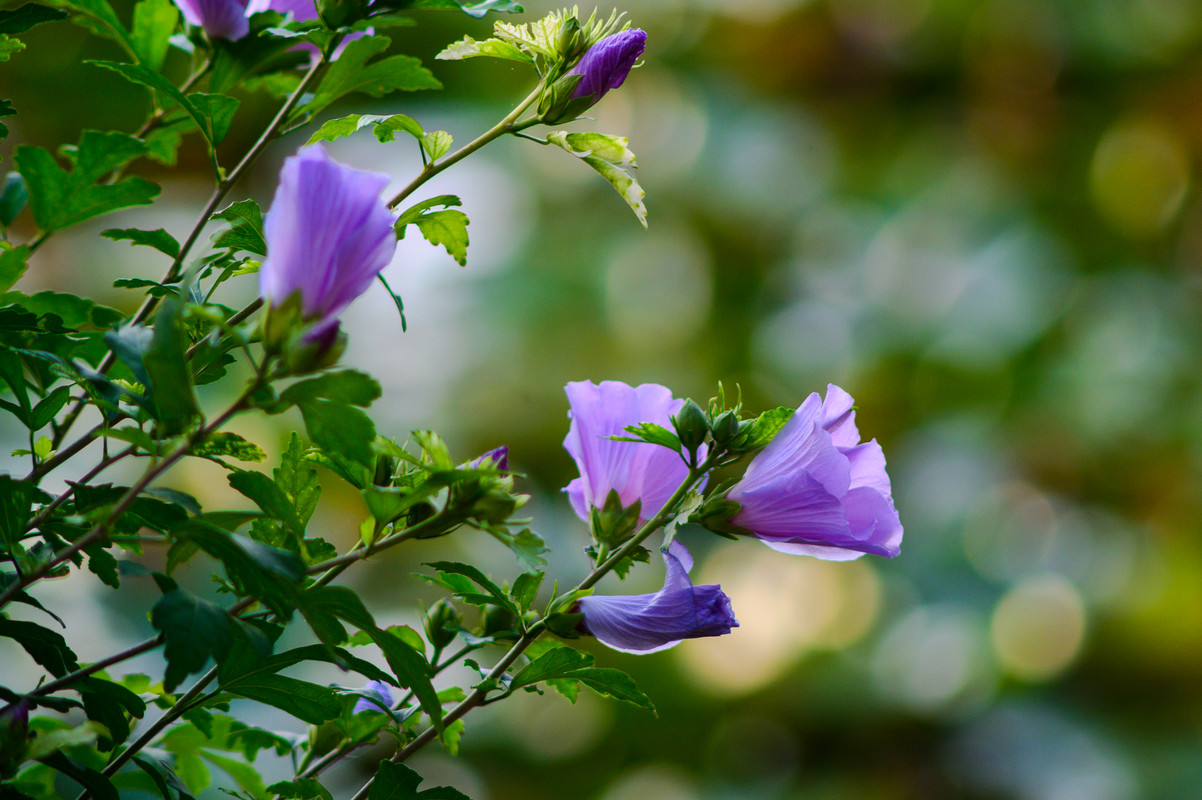 7D41AA9F-75C0-4AC1-98DF-E13C16105D81