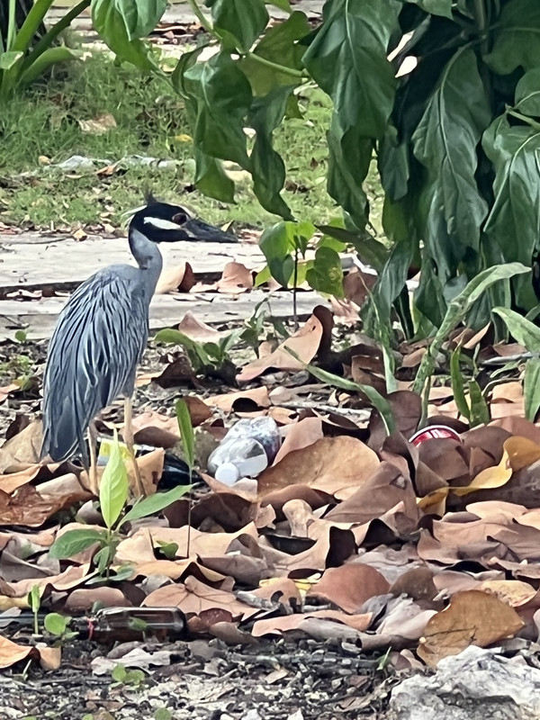 D36EA929-47C5-4753-BA72-BD439A42A907