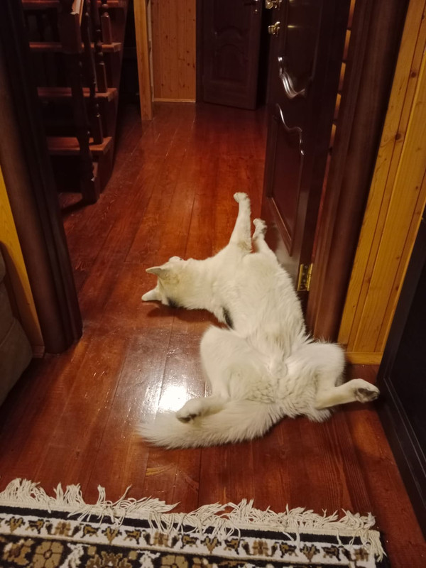 EAEAF7C6-EF89-439C-9986-91FF9CAB1727