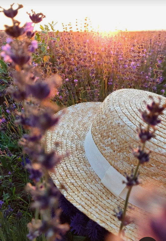 Screenshot_20240404_201431_Pinterest