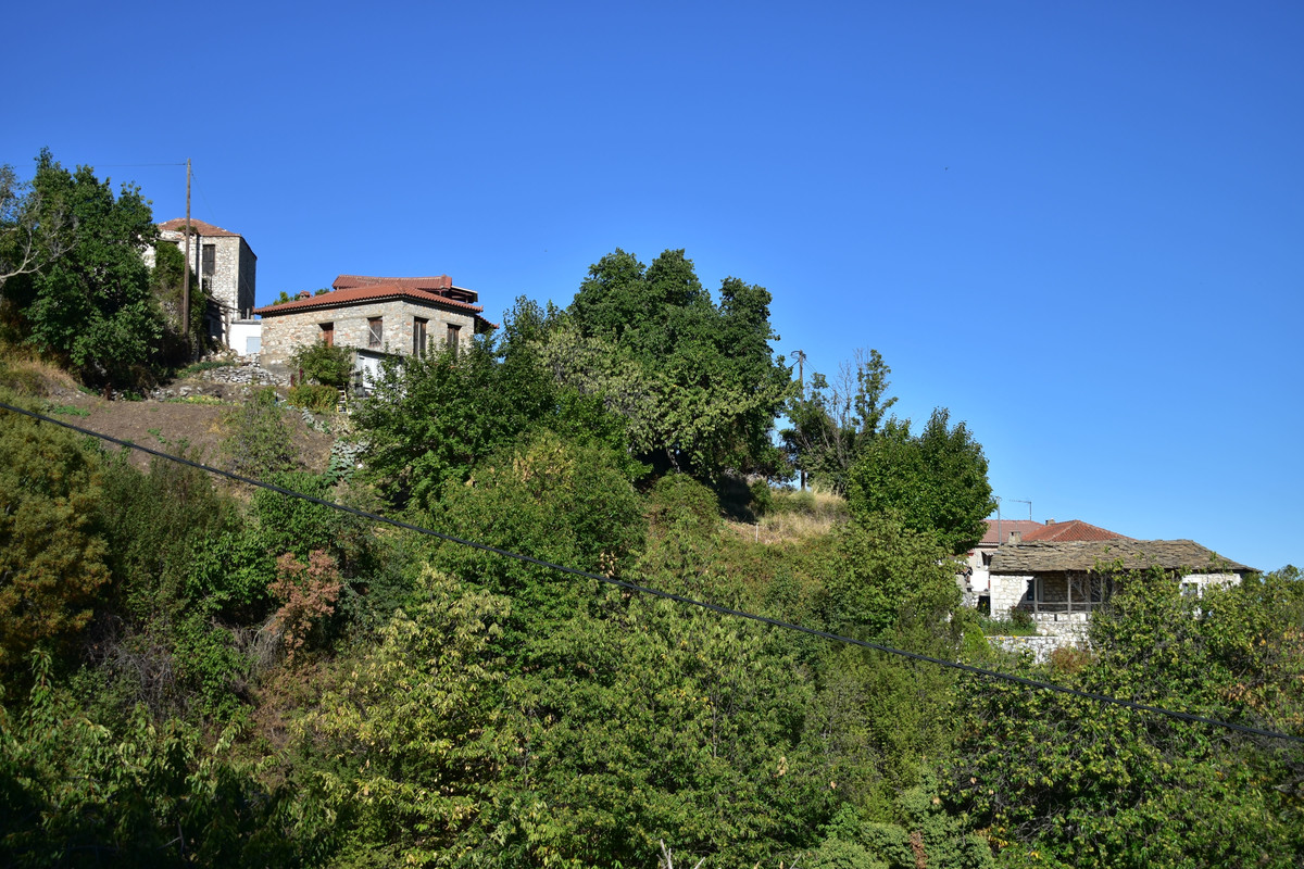 Άνω Δολιανά (13)