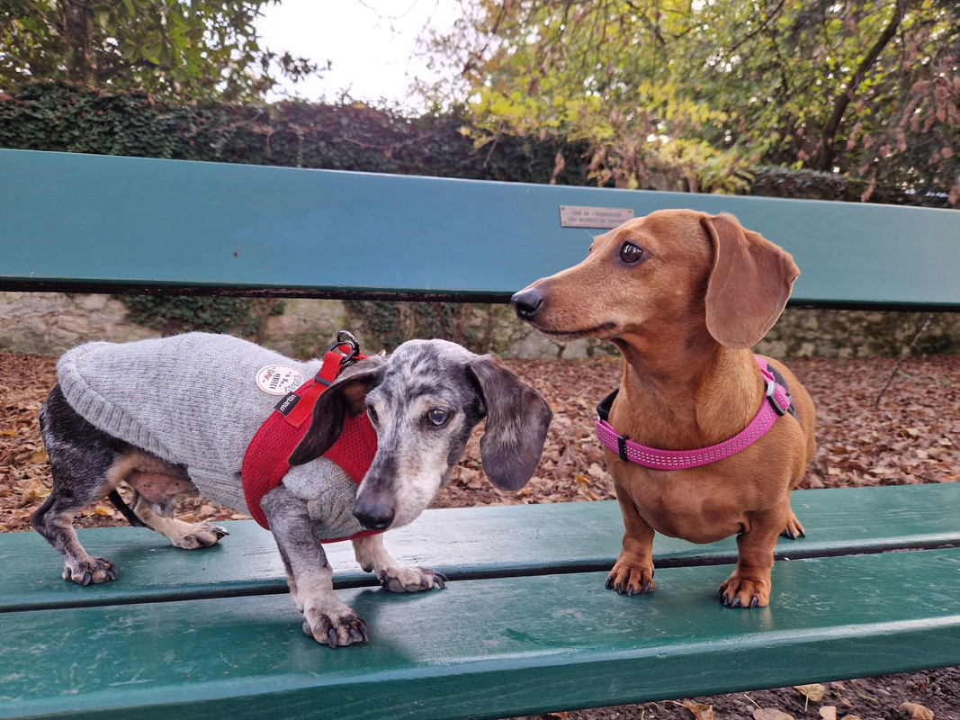 [Image: 20241106-131746.jpg]