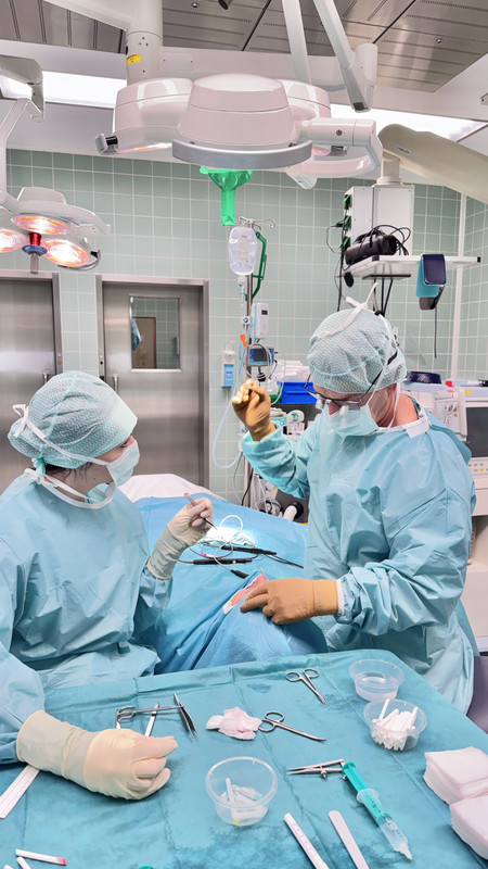 Blepharoplastik Intensivkurs FACE Academy