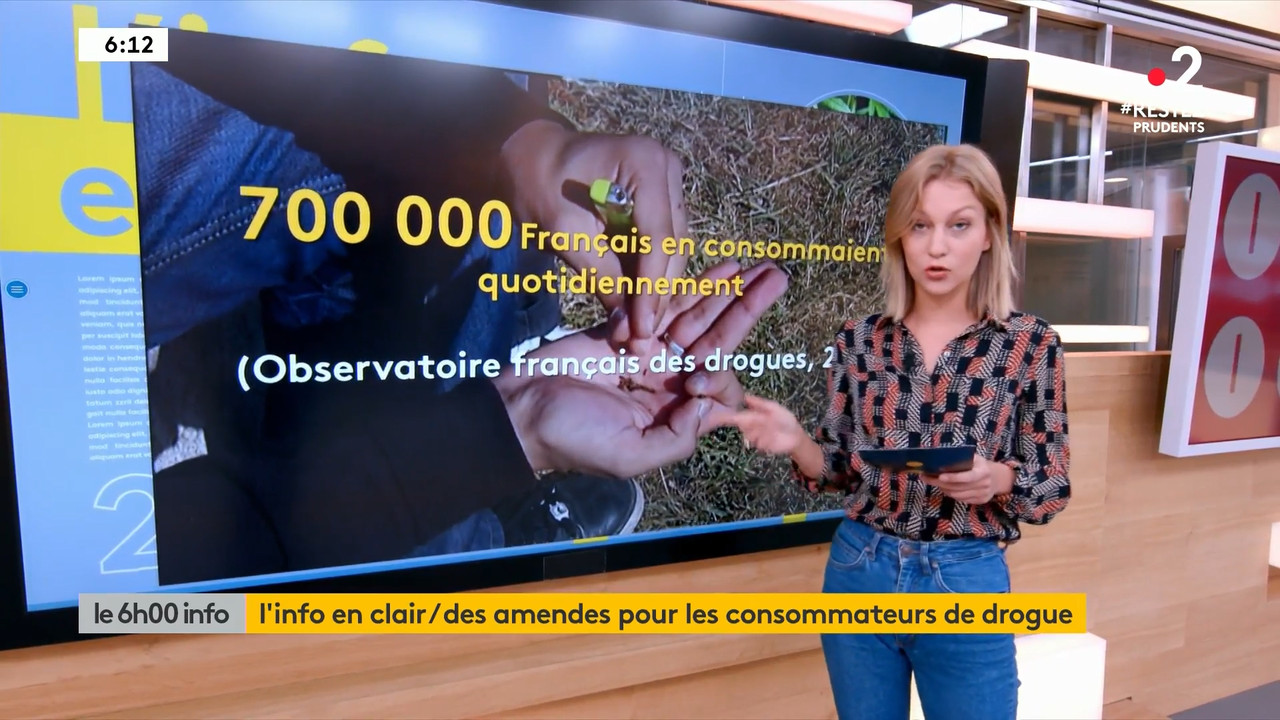 2020-06-17_06_00_Fr2_Le-6h00-info.mp4_snapshot_18.09.572