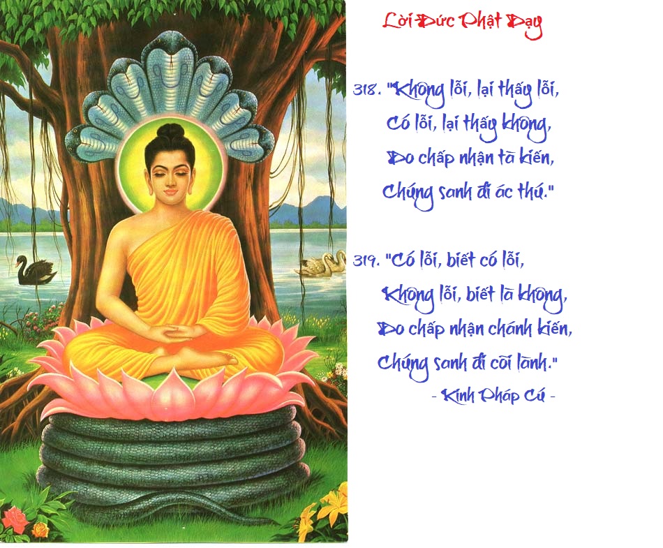 [Image: VERSE317318.jpg]