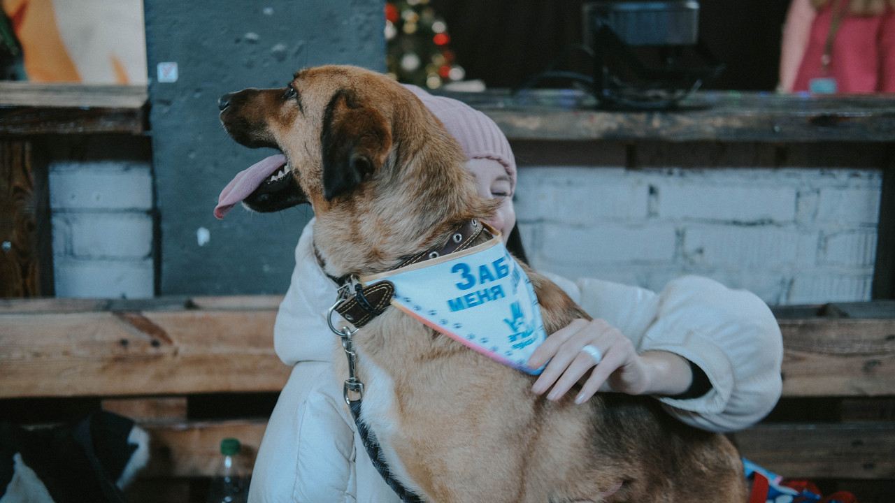 974EFE0A-A309-45AF-9B7D-C08654077AED