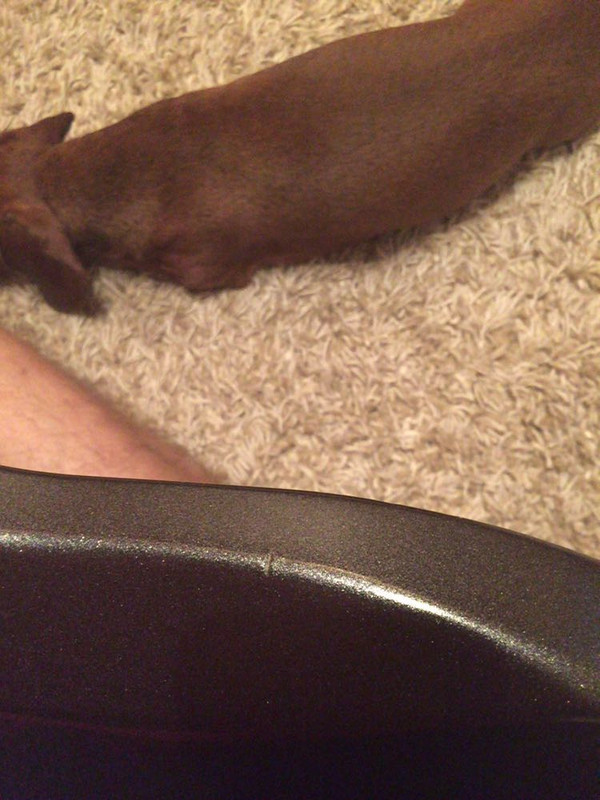 WhatsApp-Image-20160725 (5)