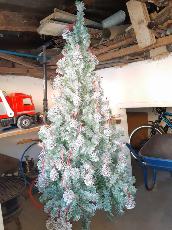 IMG_20211116_150353943