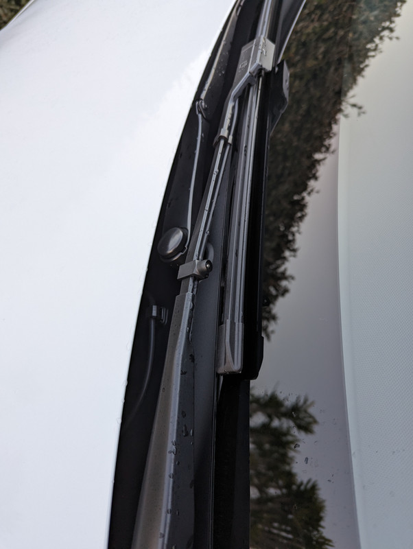 PXL_20230219_164614582