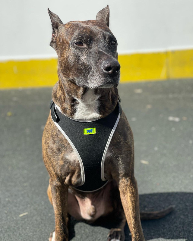 7A7F4FF8-5323-4954-9E91-CE9F48AC57CB