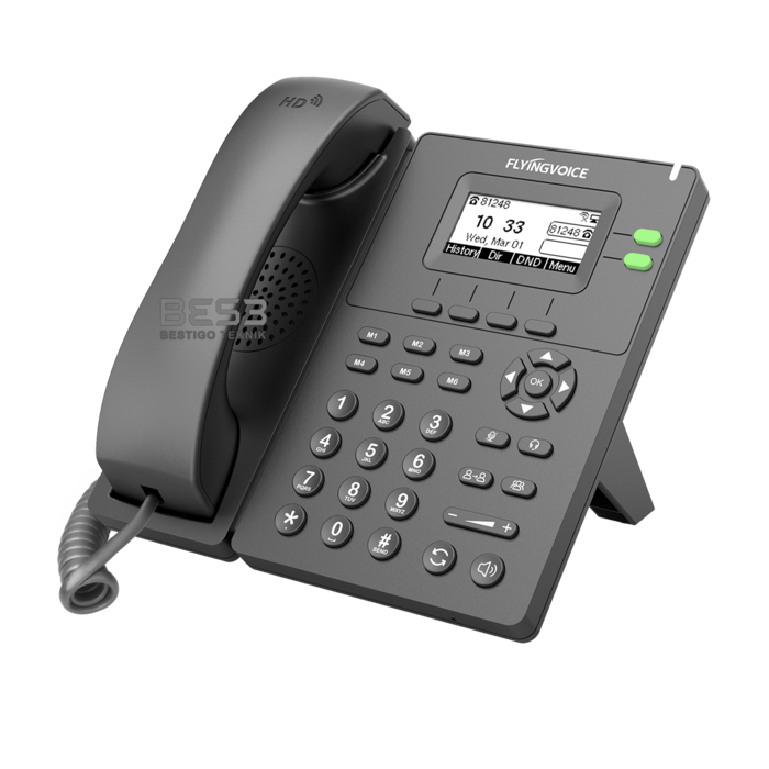 IP Phone FlyingVoice P20