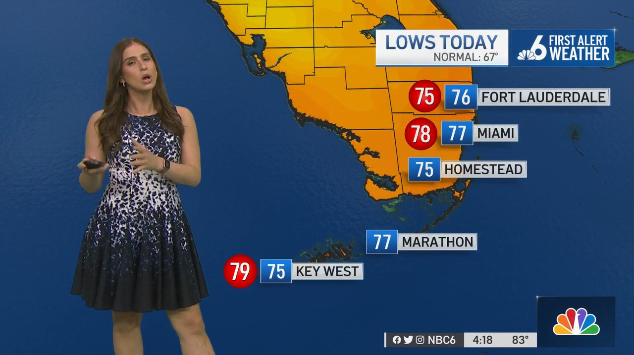 03.31 - 21.00.00 - Nbc 6 News At 4 00 P.M.-1.m4v_snapshot_13.43_[2022.04.01_12.54.24]