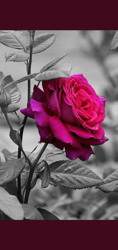 Screenshot_٢٠٢١٠٤٣٠-٠٩٢٥٥٢