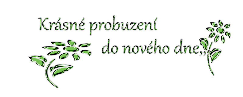 z4nzrnt4hj0yulse45