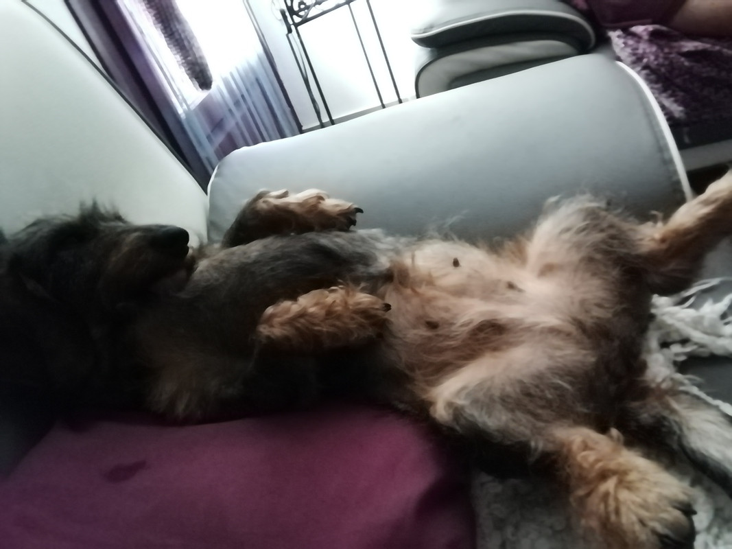 [Image: IMG-20200718-141315.jpg]