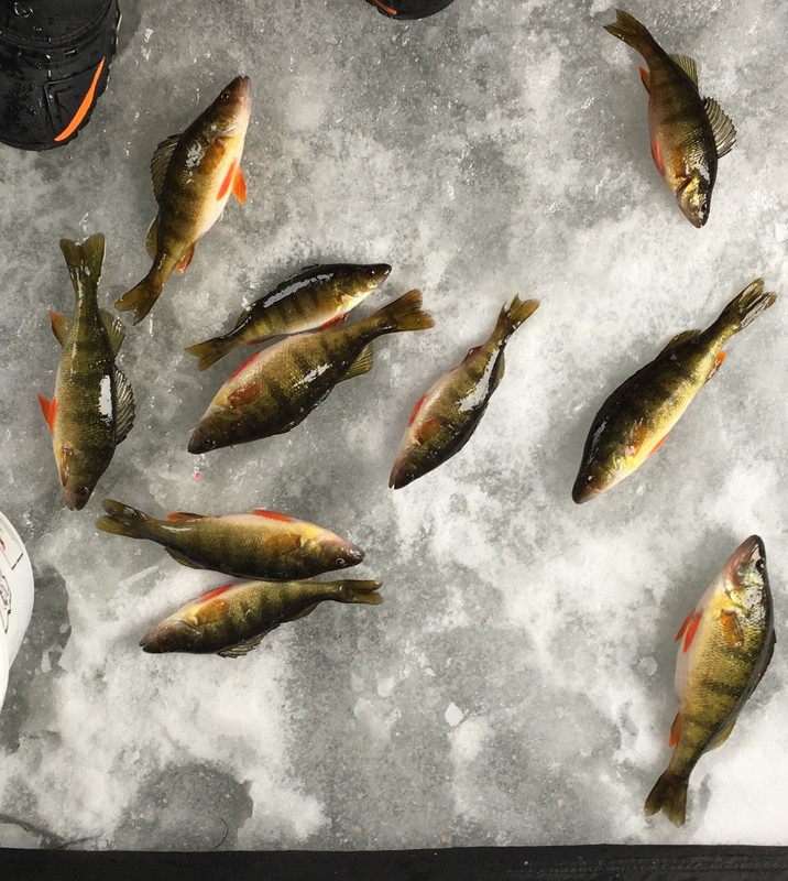 092C64A6-8BBC-477B-B7CC-1E509B039859