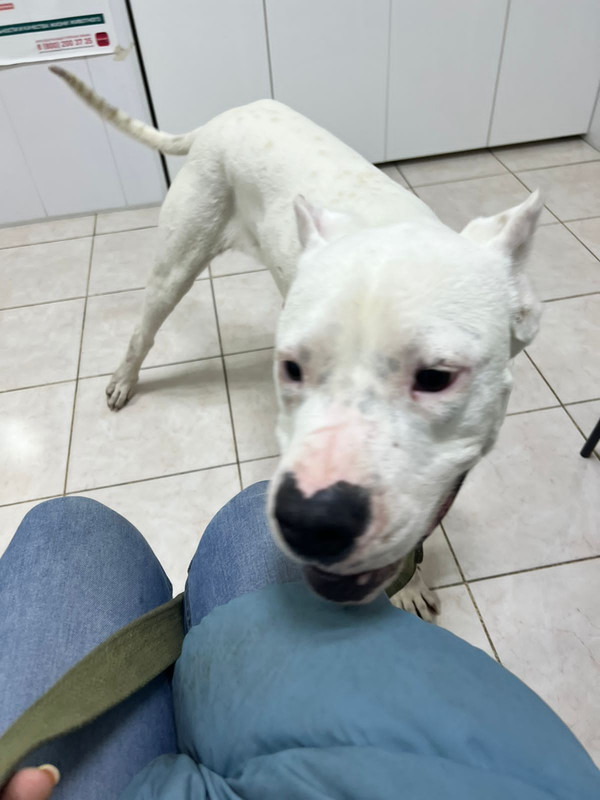 1A3BE31A-0CF1-4905-BB85-D672D87BE729