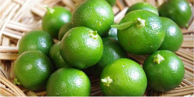 Calamansi — Postimages