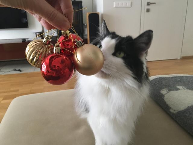 2-CBCE08-B-AE96-492-D-978-A-20-DE9-E0-B0