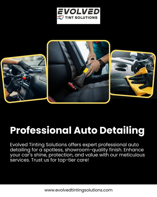 Professional Auto Detailing