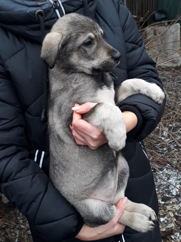 6AEB7471-D356-4557-BF65-7E6C3D188CB7