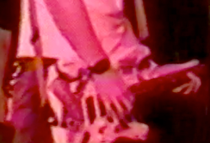 TD-05.jpg