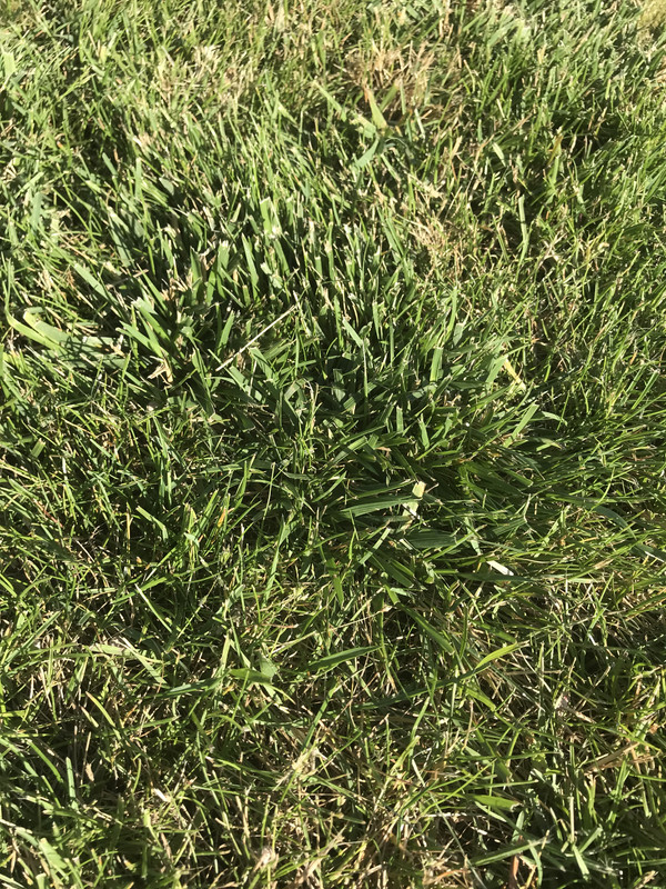 8F2A3FF3-8A87-4B3A-9333-F40E95785FE0