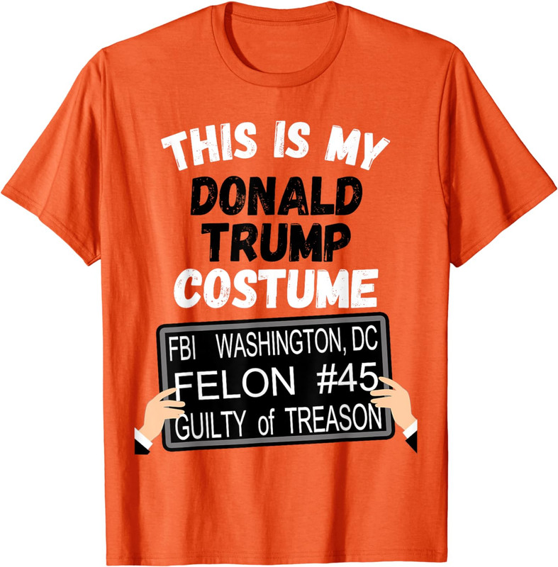 Funny Donald Trump Jail Convict Outfit 2024 Unisex T-Shirt