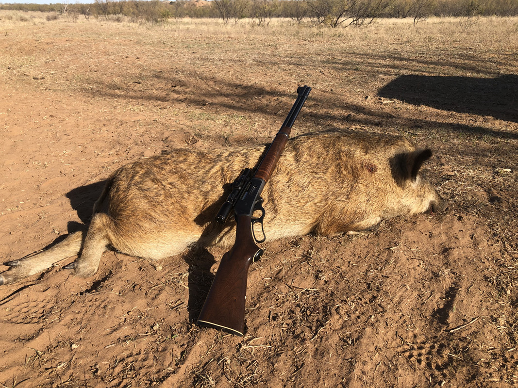 31C3B533-3F3B-4214-934C-6794A1F23DE1