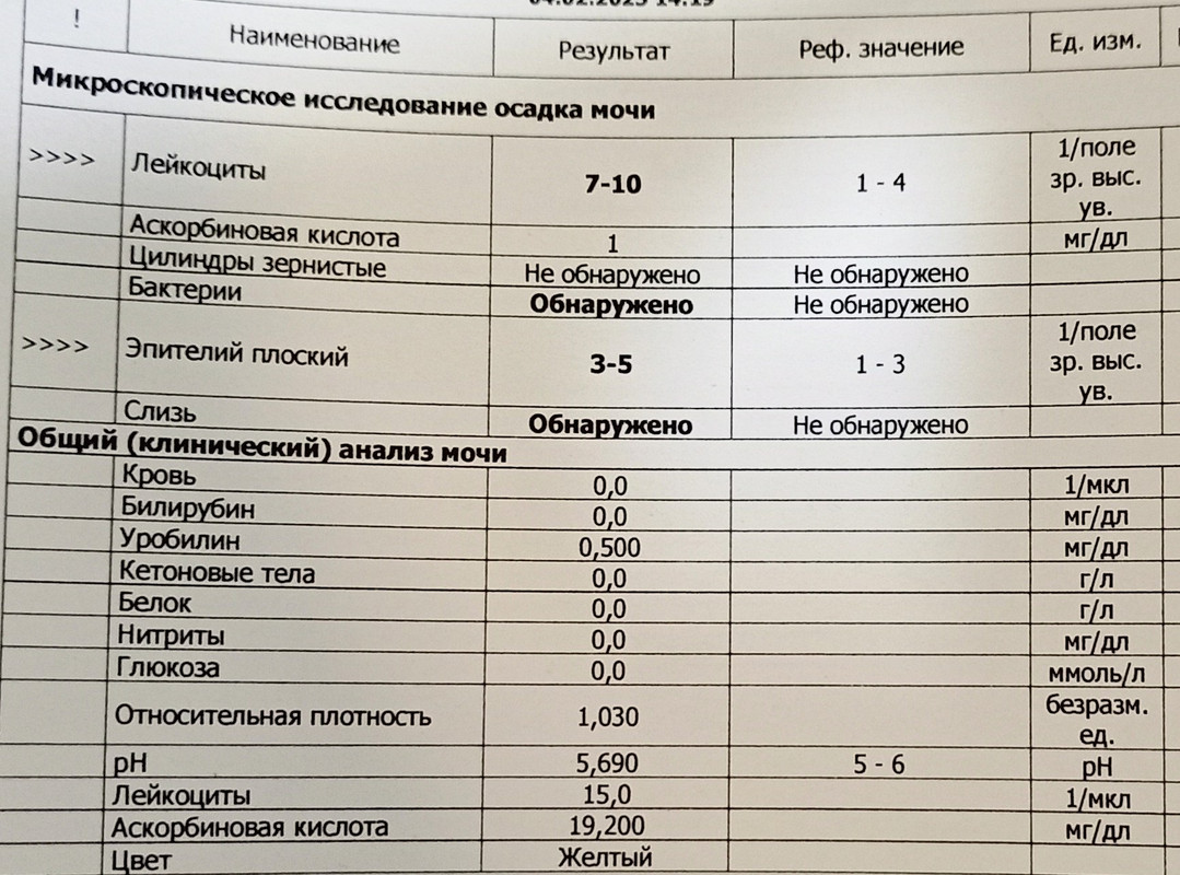 IMG-20250319-190808434-2.jpg