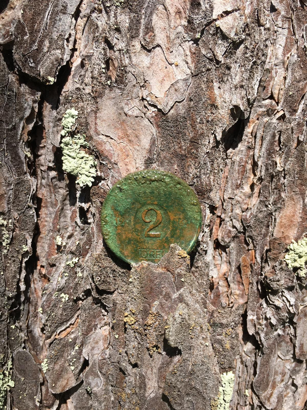 CDD0A024-5837-4BF0-A904-ADB0A1AFEEAF