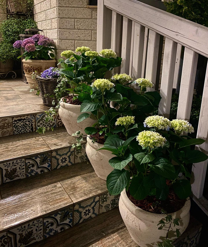 2BAB5B37-5B42-4379-B2CB-F38692EF2989