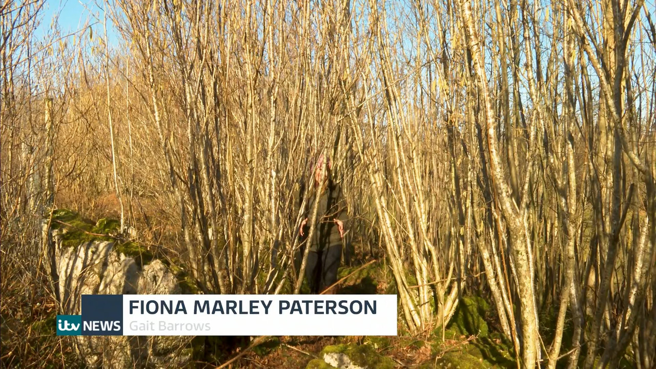 ITV News London 2022_03_04_18_00_00.ts_snapshot_31.32.687