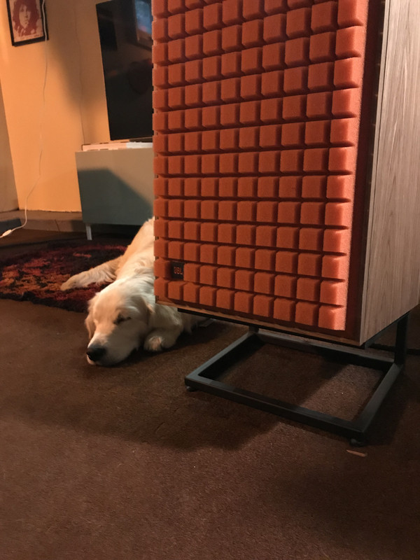 6E833A77-4326-43D4-B8A7-78FF9E286DD4