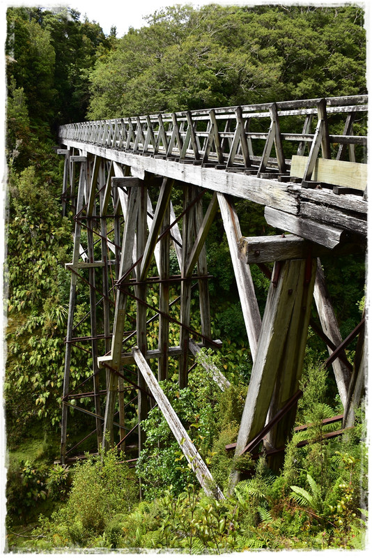 Escapadas y rutas por la Nueva Zelanda menos conocida - Blogs de Nueva Zelanda - Fiordland NP: Humpridge Track (febrero 2021) (51)