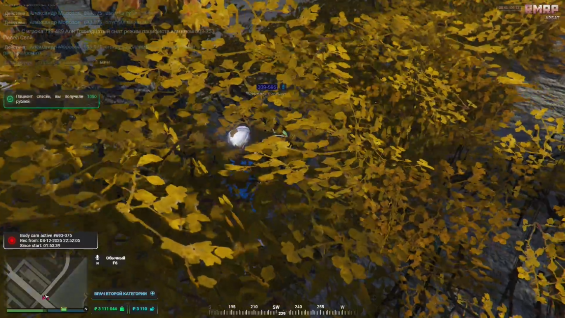 Screenshot 247