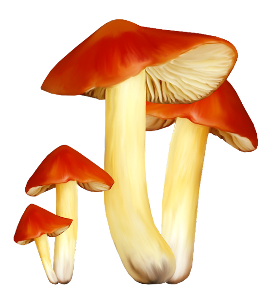 TADD_elements_AutumnFairyTales (42)