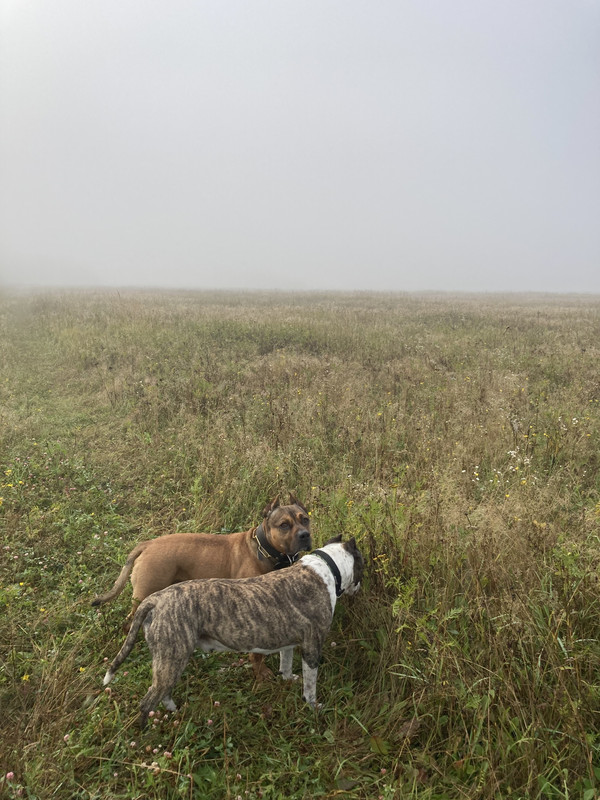 FABE7F79-B777-4986-94DF-5C6CC0907462