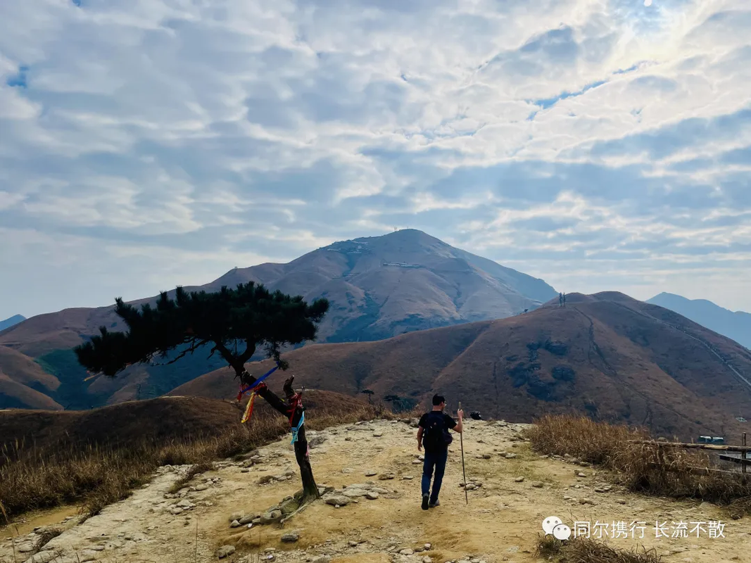 可能由于网络问题没显示出来