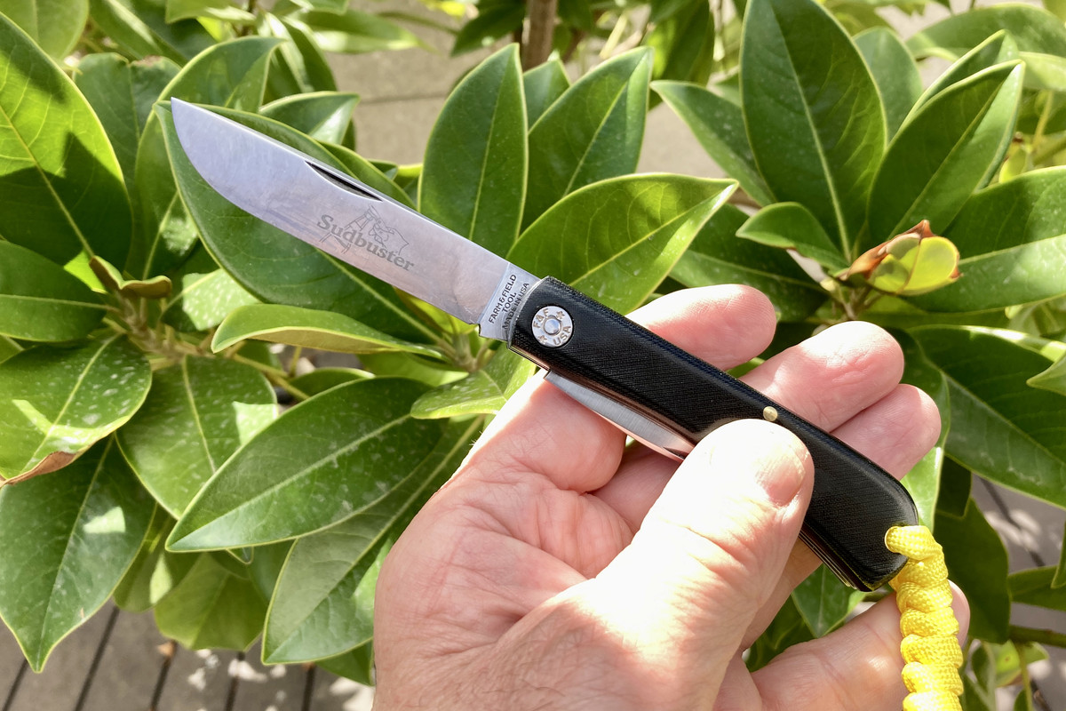 E9272411-57F3-4D2E-9977-5127FBB1379B