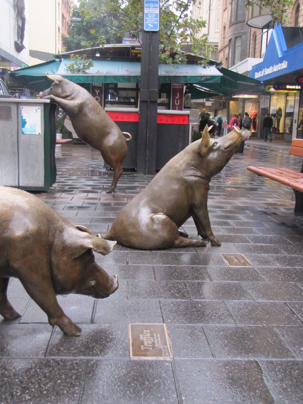 f7c22a2088aa00c53deeaaefdb8c96c5