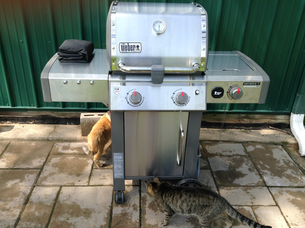 Weber inspection (Large)