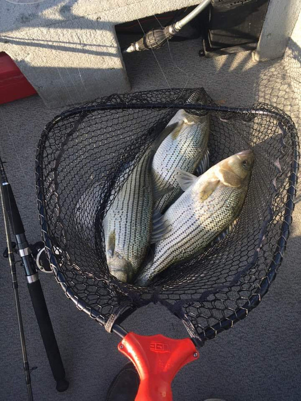 2B25EFBB-958F-43A8-A26E-91FC7E44FC2E