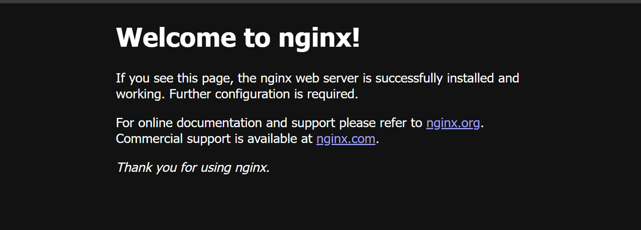 Access the Nginx Traefik Service
